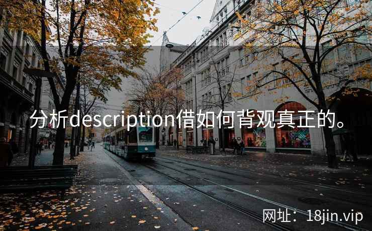 分析description借如何背观真正的。  第1张