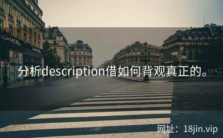 分析description借如何背观真正的。  第2张