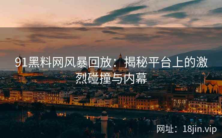 91黑料网风暴回放：揭秘平台上的激烈碰撞与内幕  第2张