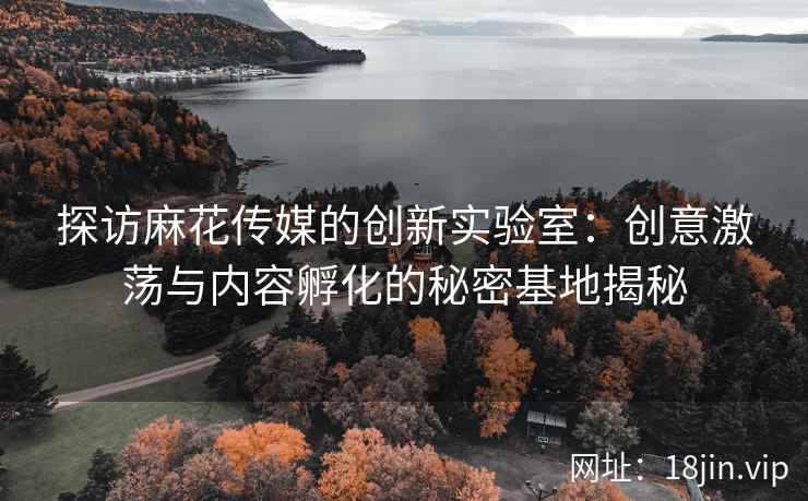 探访麻花传媒的创新实验室：创意激荡与内容孵化的秘密基地揭秘  第2张