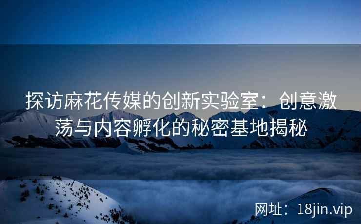 探访麻花传媒的创新实验室：创意激荡与内容孵化的秘密基地揭秘